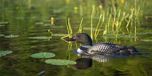 Nikon Z MC 105mm f/2.8 VR S Nikkor Review: Field Test -- Gallery Image