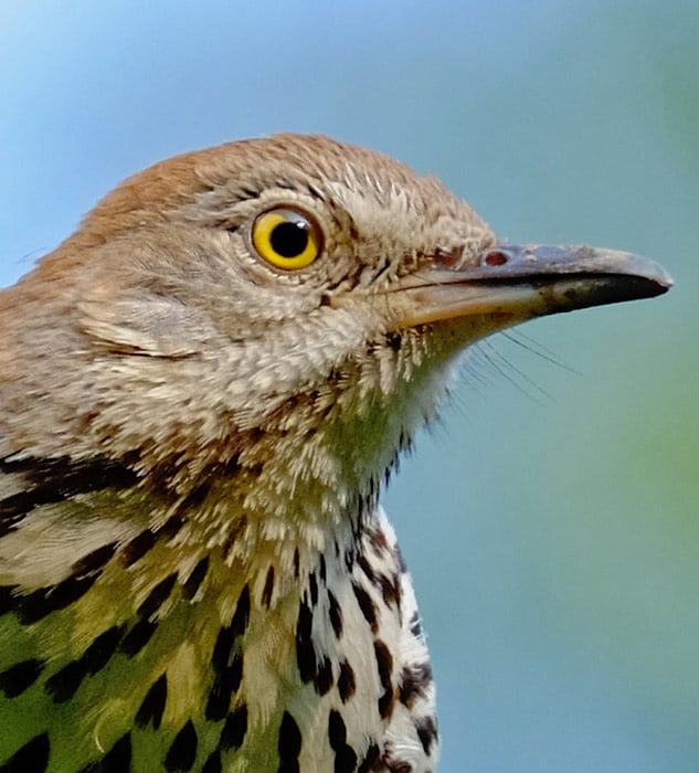 Fuji 100-400mm Review - sample gallery image