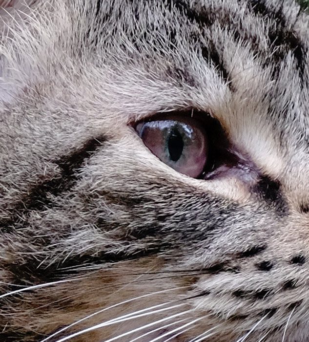 Fuji 100-400mm Review - sample gallery image
