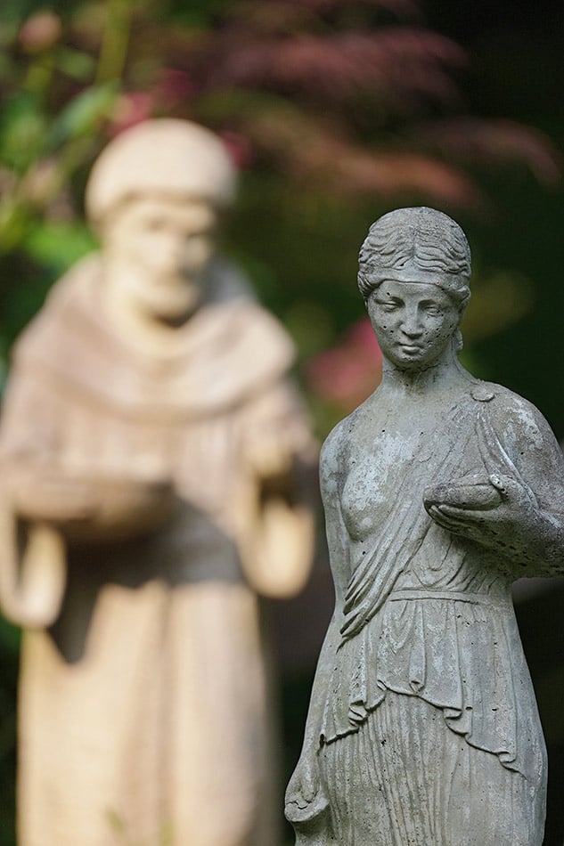 Fuji 100-400mm Review - sample gallery image