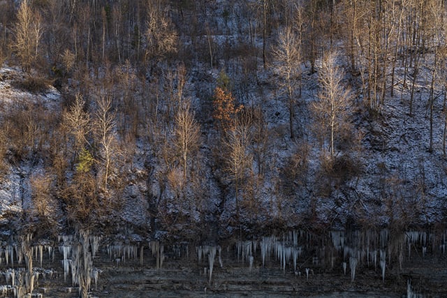 Tamron 35-150mm F2-2.8 Di III VXD Review -- Gallery Image