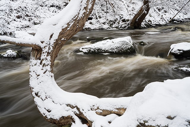 Tamron 35-150mm F2-2.8 Di III VXD Review -- Gallery Image