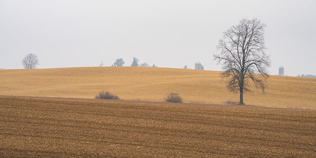 Tamron 35-150mm F2-2.8 Di III VXD Review -- Gallery Image
