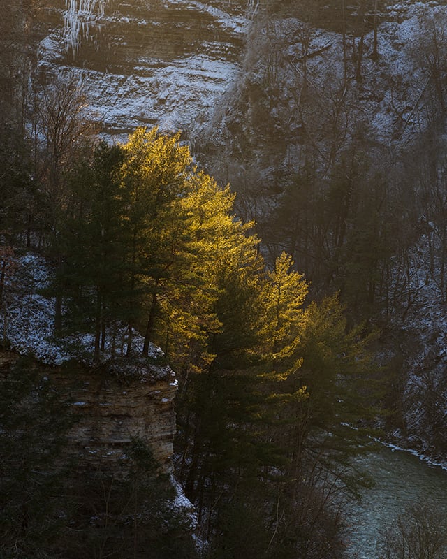 Tamron 35-150mm F2-2.8 Di III VXD Review -- Gallery Image