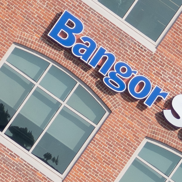 Tamron 150-500mm f/5-6.7 Di III VC VXD Review: Field Test -- Gallery Image