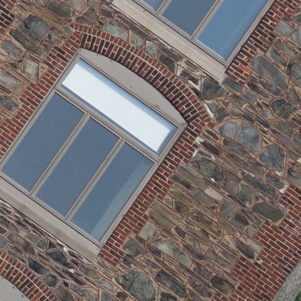 Tamron 150-500mm f/5-6.7 Di III VC VXD Review: Field Test -- Gallery Image