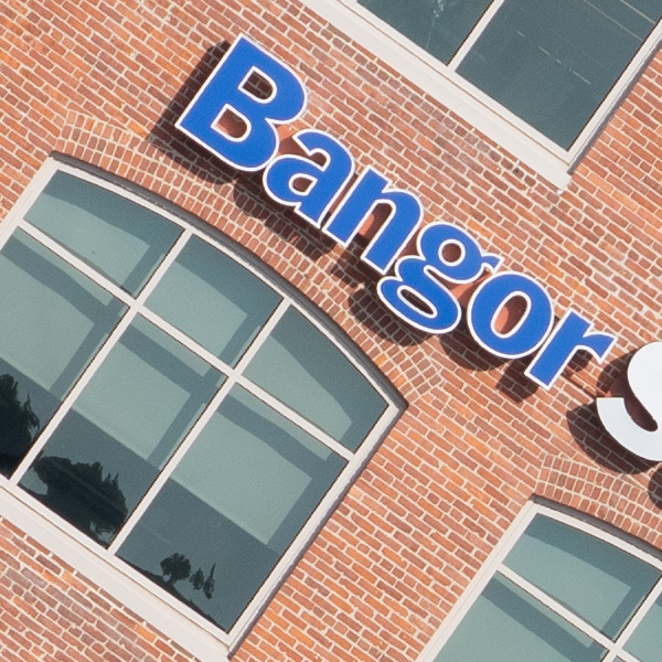 Tamron 150-500mm f/5-6.7 Di III VC VXD Review: Field Test -- Gallery Image