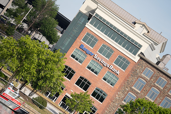 Tamron 150-500mm f/5-6.7 Di III VC VXD Review: Field Test -- Gallery Image