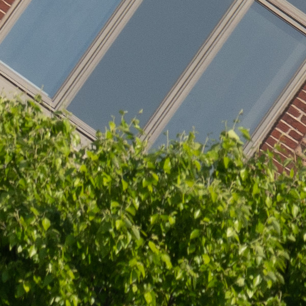 Tamron 150-500mm f/5-6.7 Di III VC VXD Review: Field Test -- Gallery Image