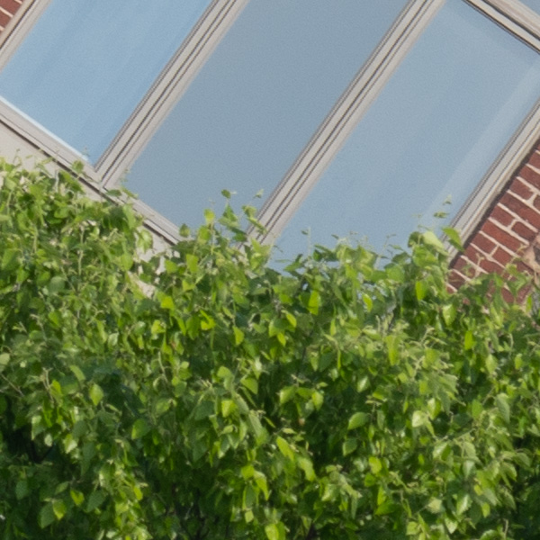 Tamron 150-500mm f/5-6.7 Di III VC VXD Review: Field Test -- Gallery Image