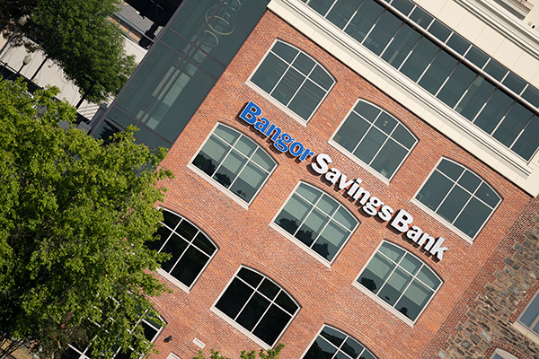 Tamron 150-500mm f/5-6.7 Di III VC VXD Review: Field Test -- Gallery Image