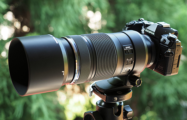 Olympus 100-400mm f/5-6.3 IS M.Zuiko Digital ED - Imaging Resource