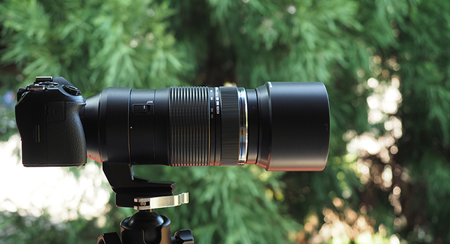 Olympus 100-400mm f/5-6.3 IS M.Zuiko Digital ED - Imaging Resource