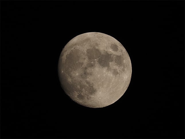 100-400mm f/5.0-6.3 IS ED M.Zuiko Digital Overview image 17