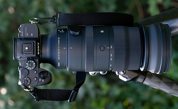 Sigma 150-600mm f/5-6.3 DG DN OS Sports - Imaging Resource
