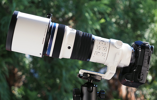 Olympus 150-400mm f/4.5 TC1.25x IS PRO M.Zuiko - Imaging Resource