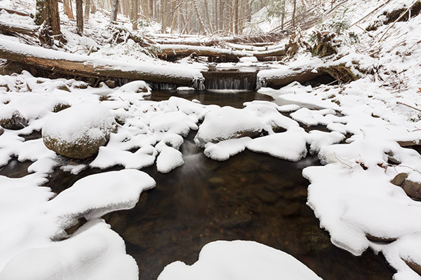 Tamron 17-35mm f/2.8-4 Di OSD Review: Field Test -- Gallery Image
