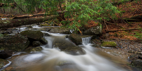 Nikon Z 14-24mm f/2.8 S Nikkor Review: Field Test -- Gallery Image