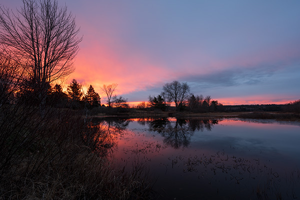 Nikon Z 14-24mm f/2.8 S Nikkor Review: Field Test -- Gallery Image