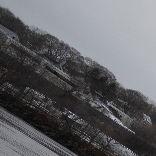 Nikon Z 14-24mm f/2.8 S Nikkor Review: Field Test -- Gallery Image