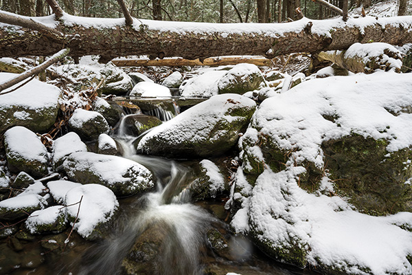 Nikon Z 14-24mm f/2.8 S Nikkor Review: Field Test -- Gallery Image