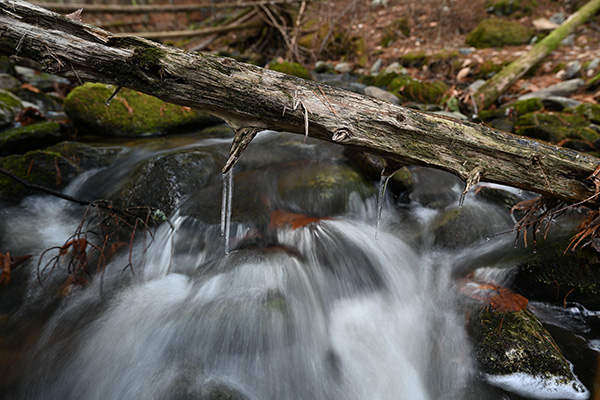 Nikon Z 14-24mm f/2.8 S Nikkor Review: Field Test -- Gallery Image