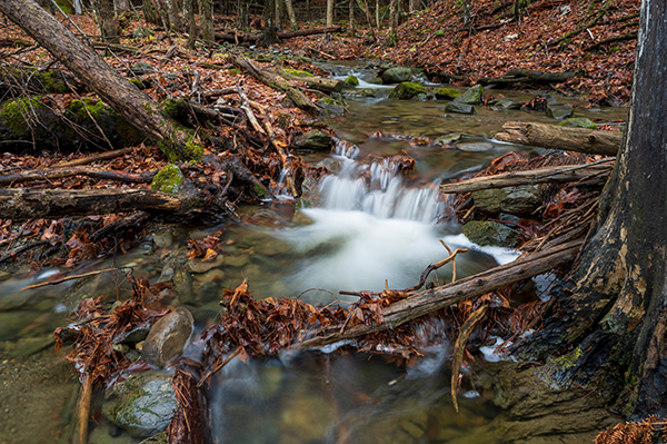 Nikon Z 14-24mm f/2.8 S Nikkor Review: Field Test -- Gallery Image
