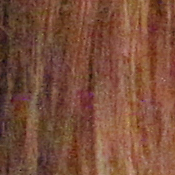 5D Mark II Imaging image 28