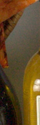 5D Mark II RAW Files image 126