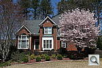 Rebel T2i (EOS 550D) All test shots image 14