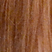 D3100 Imaging image 29