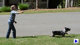 D5100 Video image 2