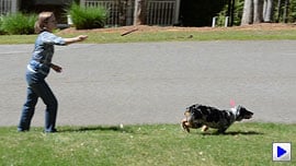 D5100 Video image 3