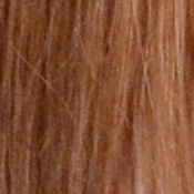D5100 Imaging image 27