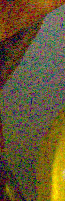 D5100 RAW Files image 51
