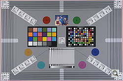 D4 Optics image 1