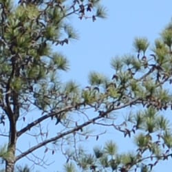 D4 Exposure image 20