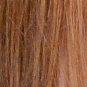 D4 Exposure image 29