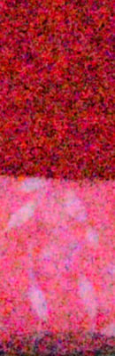 D4 High ISO Noise Reduction image 133