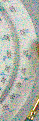 D4 RAW Files image 101