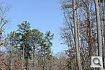D4 All test shots image 176
