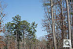 D4 All test shots image 177