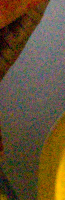 Sony Cyber-shot DSC-RX1 RAW Files image 103