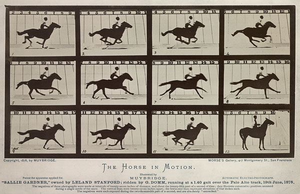 Eadweard Muybridge: The photographic pioneer who froze time and
