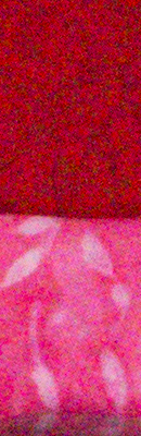 70D High ISO Noise Reduction image 76