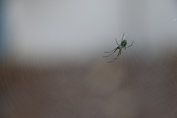 70D Field Test image 6
