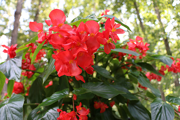 70D Field Test image 10