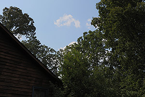 70D Field Test image 18