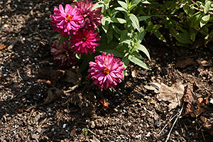 70D Field Test image 19