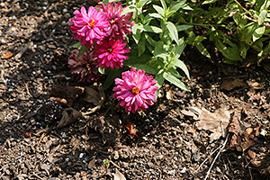 70D Field Test image 20